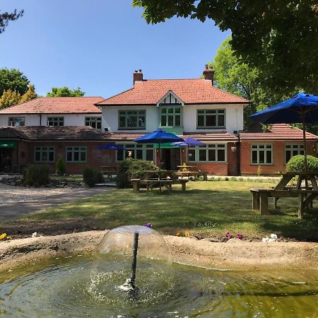 Le Chateau Cadnam Phòng bức ảnh