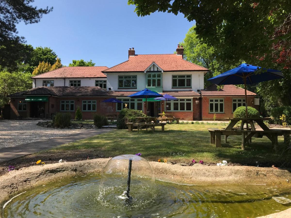 Le Chateau Cadnam Phòng bức ảnh